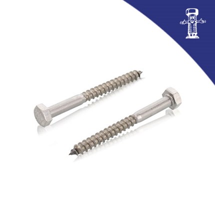 Zeta vijak DIN 571 5x20 Zn