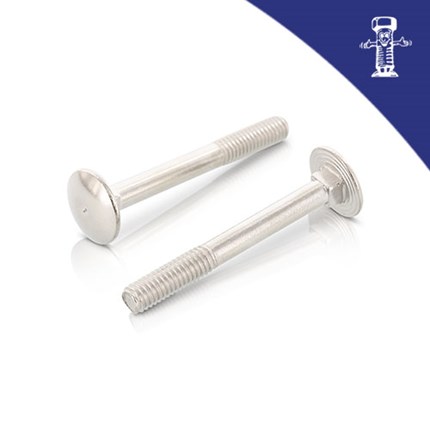 Torban vijak DIN 603 M 5x10  Zn