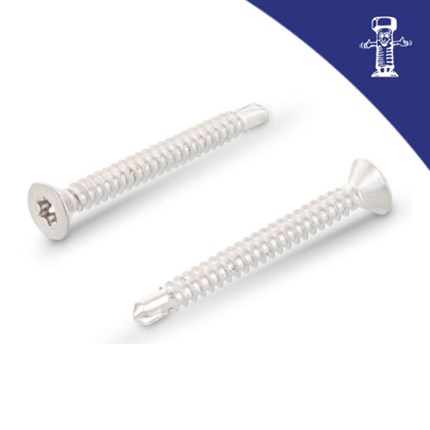 Vijak za lim DIN 7504P 5.5x25 A2 TX25