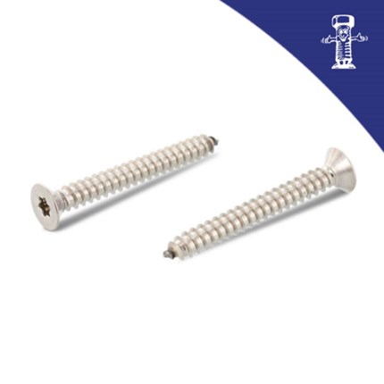 Vijak za lim DIN 7982 4.2x22 A4 TX20