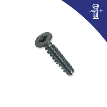 UN 13576 Vijak za plastiku KA 25x06